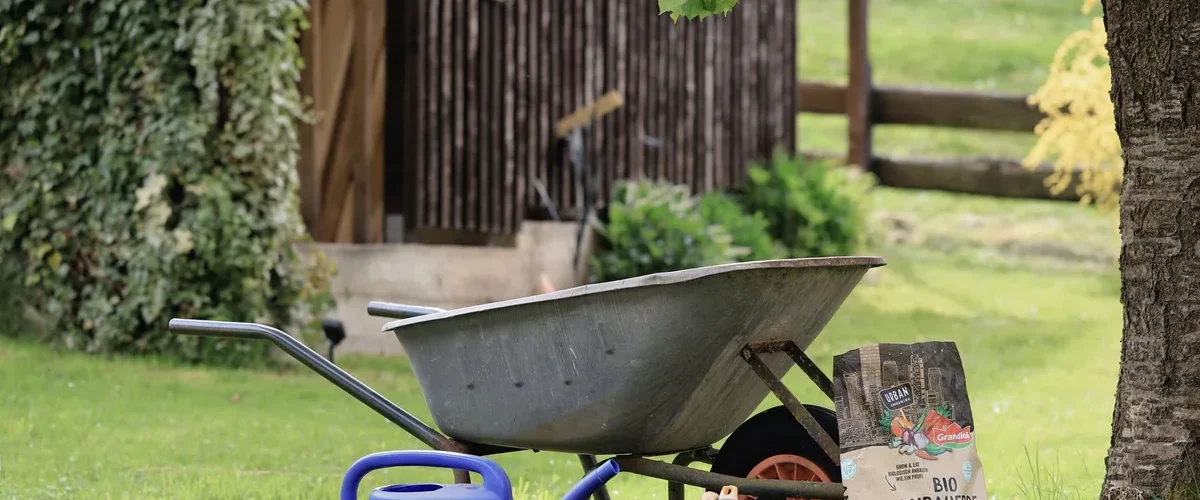 reussir engazonnement son jardin