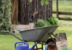 reussir engazonnement son jardin